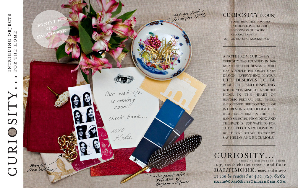 Curiosity...Intriguing Objects for the Home | Baltimore, Maryland | Coming Soon